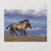 Rijden Briefkaart (Voorkant)