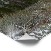 Rijden door de bergen van Snowy Sierra Nevada Poster (Hoek)