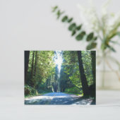 Rijden door het bos in de stad Crescent Briefkaart (Staand voorkant)