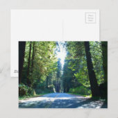 Rijden door het bos in de stad Crescent Briefkaart (Voorkant / Achterkant)