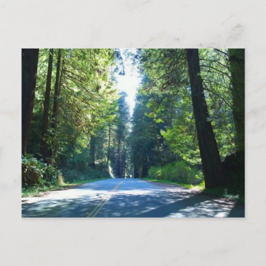 Rijden door het bos in de stad Crescent Briefkaart (Voorkant)