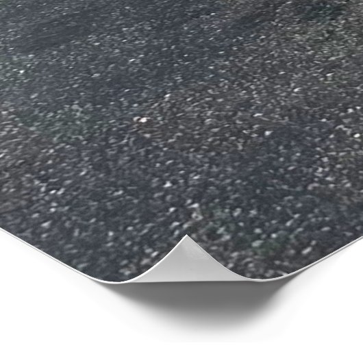 Rijden door Joshua Tree. Poster (Hoek)