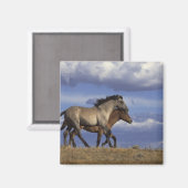 Rijden Magneet (Voorkant / Achterkant)