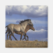 Rijden Magneet (Voorkant)