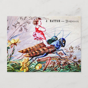 Rijdende sprinkhanen briefkaart