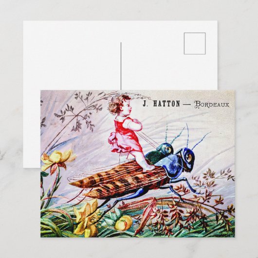 Rijdende sprinkhanen briefkaart (Voorkant / Achterkant)