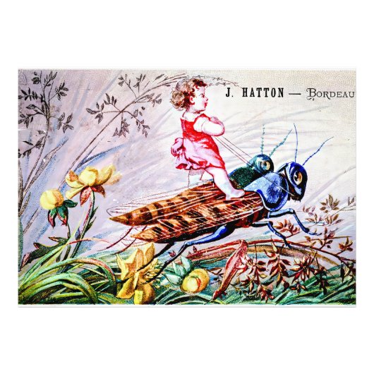 Rijdende sprinkhanen foto afdruk (Voorkant)