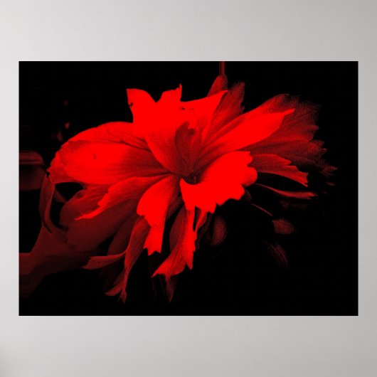 Rijen 2 poster (Voorkant)