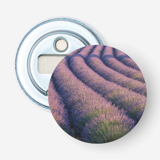 Rijen lavendel in Provence Button Flesopener (Voorkant)