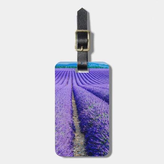 Rijen lavendel, Provence, Frankrijk Bagagelabel (Voorkant verticaal)