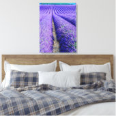 Rijen lavendel, Provence, Frankrijk Canvas Afdruk (Insitu (Slaapkamer))