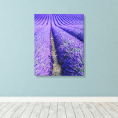 Rijen lavendel, Provence, Frankrijk Canvas Afdruk (Insitu (Houten vloer))