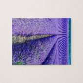 Rijen lavendel, Provence, Frankrijk Legpuzzel (Horizontaal)