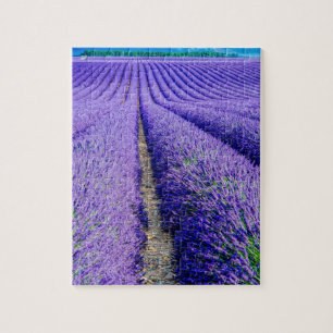 Rijen lavendel, Provence, Frankrijk Legpuzzel