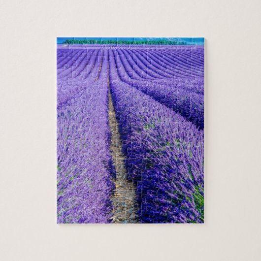 Rijen lavendel, Provence, Frankrijk Legpuzzel (Verticaal)