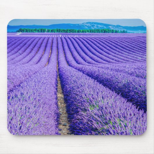 Rijen lavendel, Provence, Frankrijk Muismat (Voorkant)