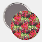 Rijen van anjers..... magneet (Voorkant / Achterkant)