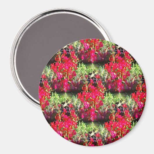 Rijen van anjers..... magneet (Voorkant / Achterkant)