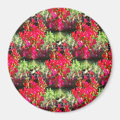 Rijen van anjers..... magneet (Voorkant)