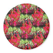 Rijen van anjers.....