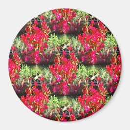 Rijen van anjers..... magneet