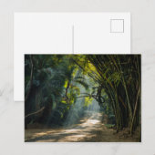 Rijen van Bamboe Briefkaart (Voorkant / Achterkant)