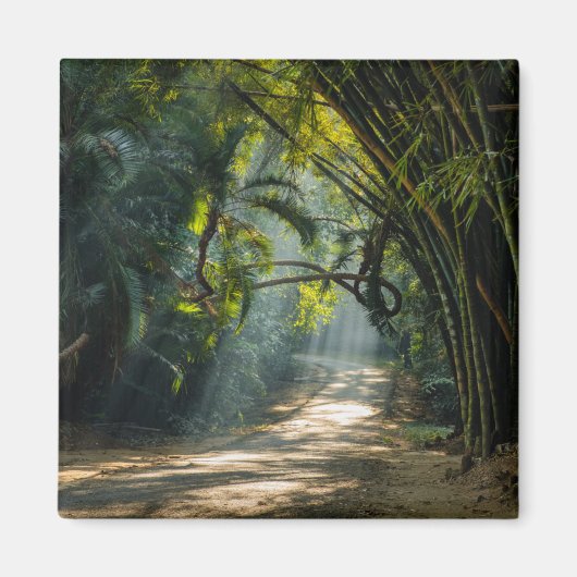 Rijen van Bamboe Magneet (Voorkant)