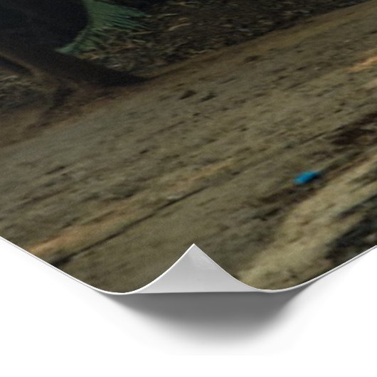 Rijen van Bamboe Poster (Hoek)