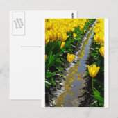 Rijen van kleur. briefkaart (Voorkant / Achterkant)