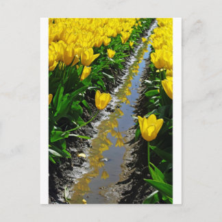 Rijen van kleur. briefkaart