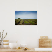 Rijen van lavendel na het oogstjaar poster (Keuken)