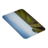 Rijen van lavendel na oogst rechthoek magneet (Rechterzijde)