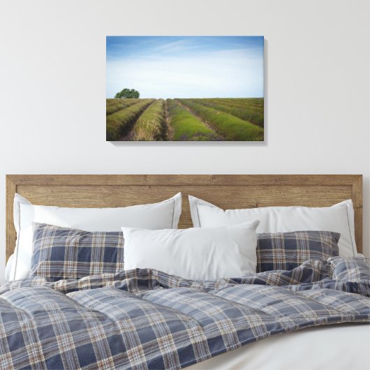 Rijen van lavendel na oogstdoek canvas afdruk (Insitu (Slaapkamer))