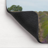 Rijen van lavendel na oogstmousepad muismat (Hoek)