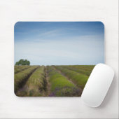 Rijen van lavendel na oogstmousepad muismat (Met muis)