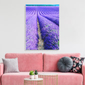 Rijen van Lavender, Provence, Frankrijk Canvas Afdruk (Insitu (Woonkamer))