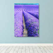 Rijen van Lavender, Provence, Frankrijk Canvas Afdruk (Insitu (Houten vloer))