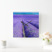 Rijen van Lavender, Provence, Frankrijk Vierkante Klok (Huis)