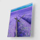 Rijen van Lavender, Provence, Frankrijk Vierkante Klok (Hoek)