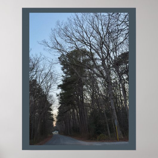 Rijen van Poster met bomen (Voorkant)