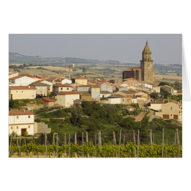 Rijen van wijnstokken in het voorgrondse lijst (Voorkant Horizontaal)