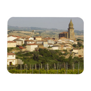 Rijen van wijnstokken in het voorgrondse lijst magneet