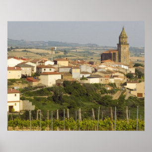 Rijen van wijnstokken in het voorgrondse lijst poster