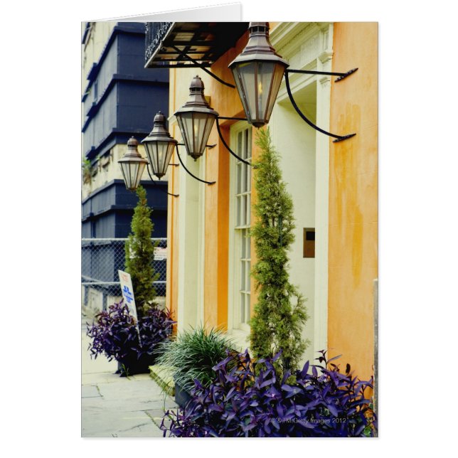 Rijhuizen in een stad, Savannah, Georgia, Verenigd (Voorkant)