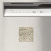 Rijk 2 magneet (Insitu (Vaatwasser))