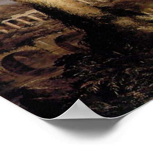 Rijk: Verkleuring Poster (Hoek)