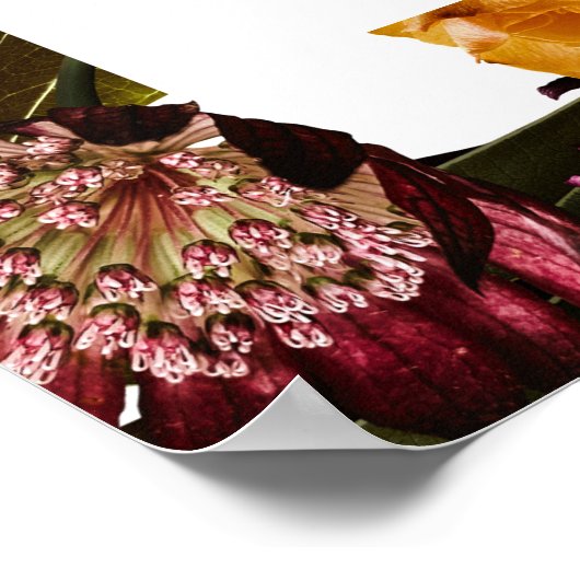 Rijkdom van de Lente Achternaam Zitgrafiek Poster (Hoek)