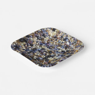 rijkdom van het zaaigoed papieren bordje