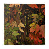 RIJKE, AARDETINTEN KLEUREN / HERFSTBLADEREN / GRAV TEGELTJE (Voorkant)