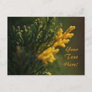 Rijke groene warme gele plant foto ansichtkaart briefkaart